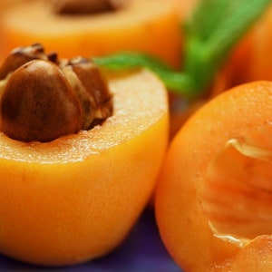 Organic Delicious Loquat-levende plantboom gegarandeerde groei of gratis vervanging.