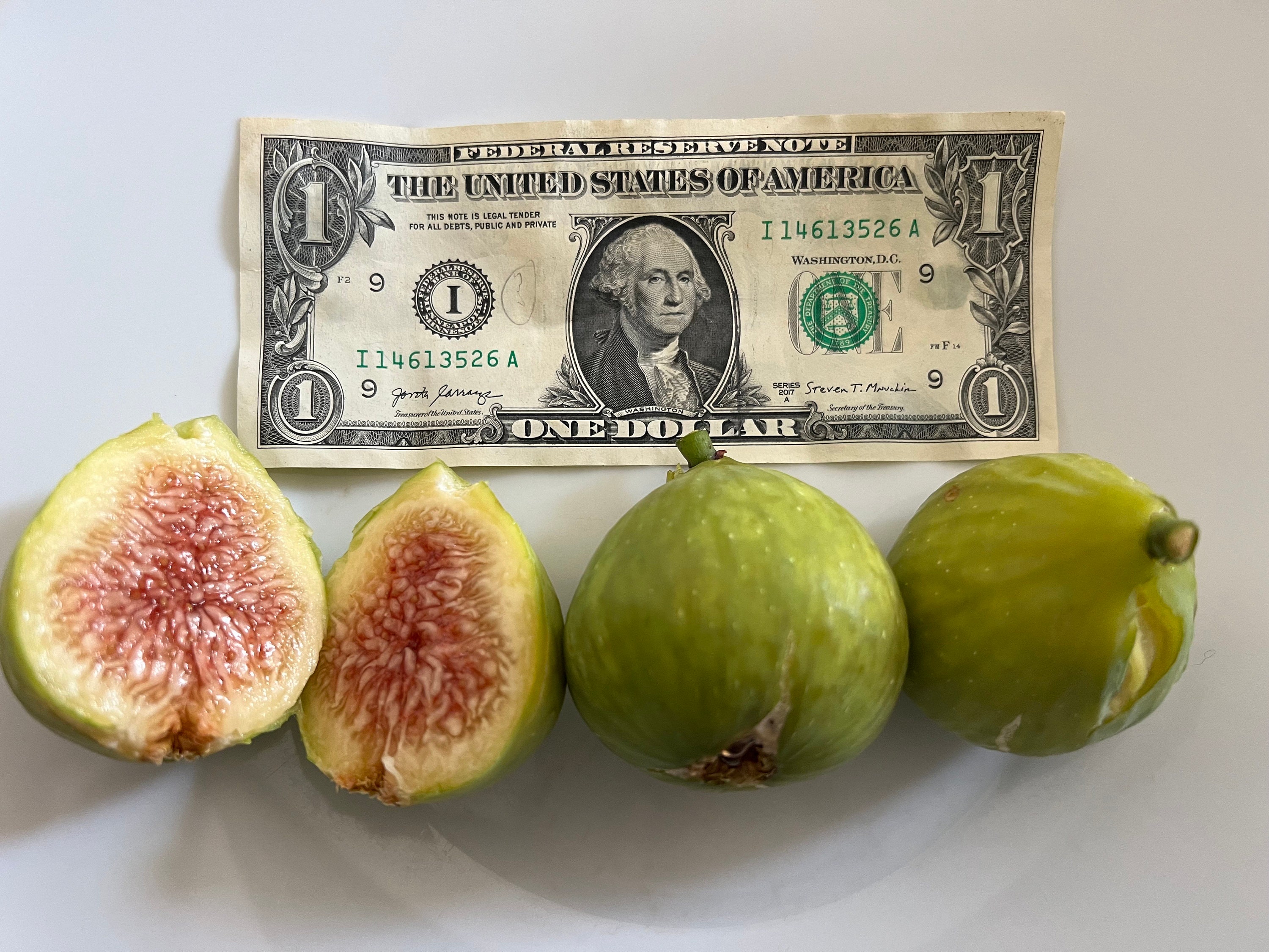 Masashi Nagase！ホワイトマデイラ！ White Madeira #1 (ホワイトマデイラ )の特徴・味・耐寒性・栽培