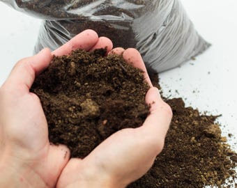 Miscela di terriccio per cactus e piante grasse | Sacco da 3 litri | La miscela di terriccio per le tue piante | Sono stato un cactus | Arioso e ricco di minerali | Miscelato a mano