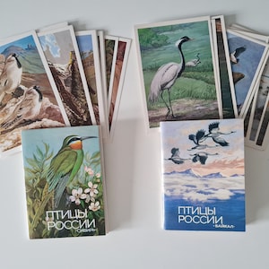 Ensemble de cartes postales anciennes avec des oiseaux, cartes postales soviétiques, nature russe, Sibérie, Baïkal