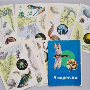 Images of insects, Soviet vintage postcard set, inhabitants of reservoirs