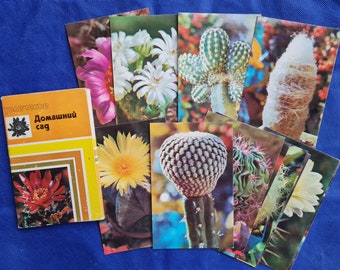 Cacti Postcards Set of 15 cards, Botanical Art, Vintage Botanical Prints, Postcard plants, Botany postcards, cactus photos