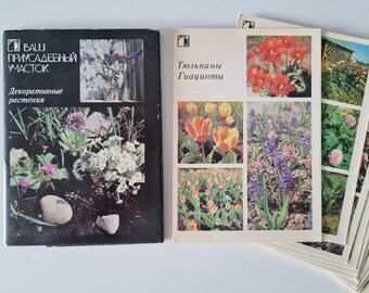 Soviet vintage botanical postcards set, ornamental plants in the backyard, small pictures of flowers