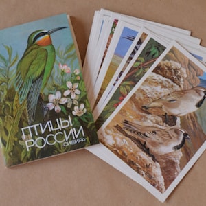 Cartes postales oiseaux, jeu de cartes postales vintage soviétiques, carte postale russe nature, flore et faune