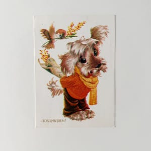 Vintage Geburtstagskarte der UdSSR, Postkarte mit niedlichem Hund, Postkarten