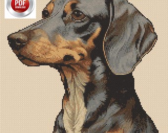 Dachshund Digital Download PDF Cross Stitch Chart Colourful Pop Dachshund No. 930