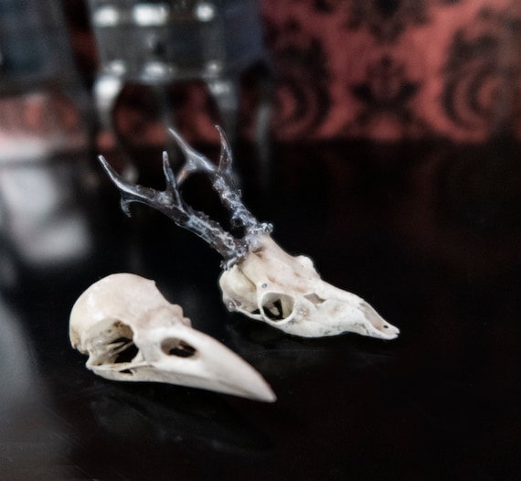 Miniature Dollhouse Bird and Deer Skull in Eco Resin