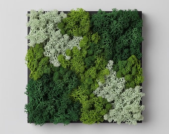 Preserved Reindeer Moss Wall Art Green Forest