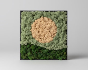 Preserved Reindeer Moss Wall Art Zen garden