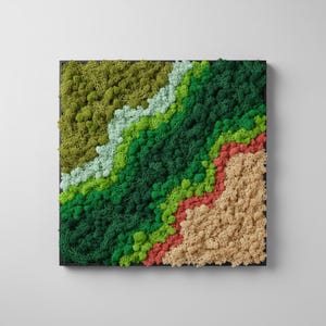 Könnte beinhalten: Quadratische Wandkunst mit einem strukturierten Design aus grünen, roten und beigen Moosen. Das Moos ist in diagonalen Bändern in einem schwarzen Rahmen angeordnet und erzeugt eine natürliche, abstrakte Landschaft.