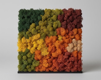 Preserved Reindeer Moss Wall Art Autumn vibes