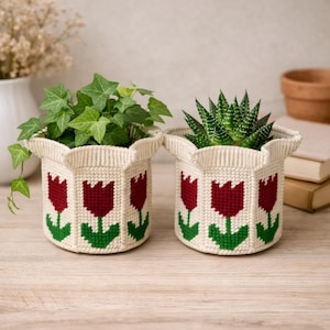 Könnte beinhalten: Zwei cremefarbene, gestrickte Blumentöpfe mit einem roten Tulpenmuster und grünen Stielen und Blättern. Ein Topf enthält grünes Efeu, der andere eine Sukkulente. Die Töpfe haben einen gewellten Rand.