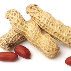 May include: A group of peanuts in their shells, some are whole and some are cracked open, revealing the red peanut inside. The peanuts are on a white background.