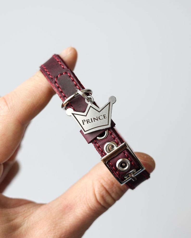 May include: Burgundy leather dog collar with a silver crown charm engraved with the word "PRINCE".