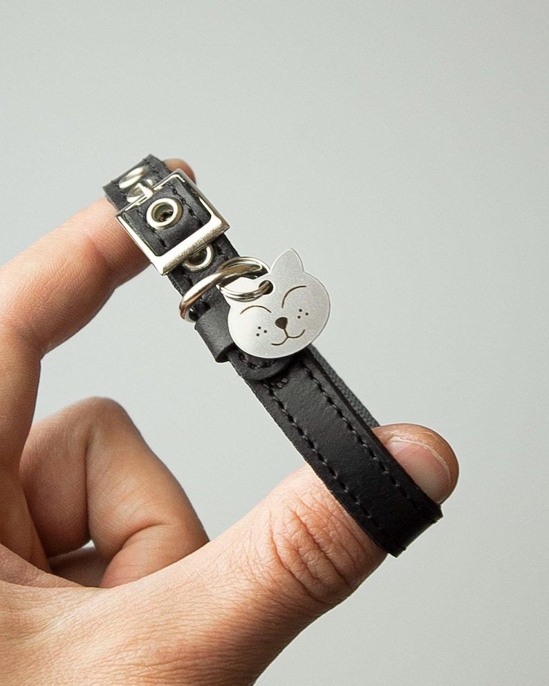May include: Black leather cat collar with a silver buckle and a silver cat-shaped tag.
