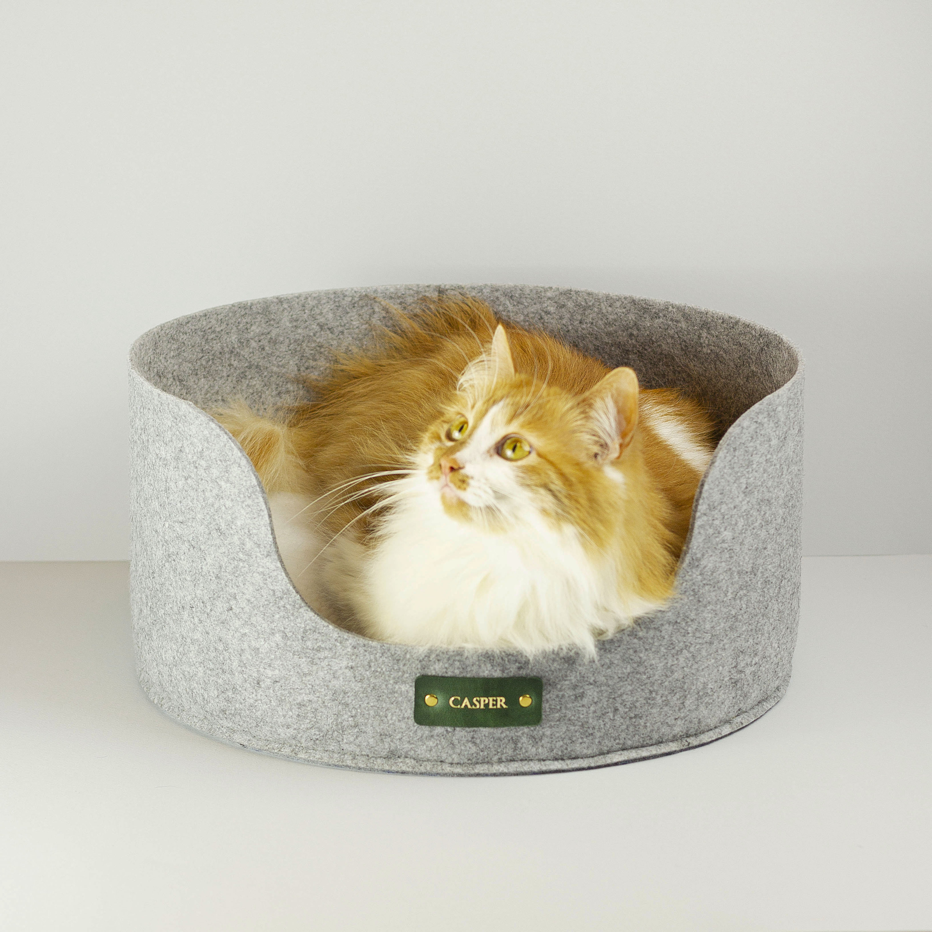 Moderne Cat Lit Cave Chien House Pet Bed Chat Cadeau Lovers Dog Tower Litter Box Accessoires Decor
