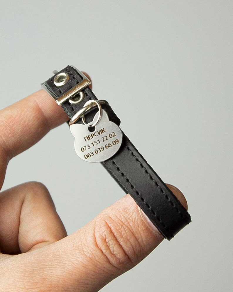 May include: Black leather cat collar with a silver metal tag engraved with the name "ПЕРСИК" and phone numbers 073 151 22 02 and 063 039 66 09.
