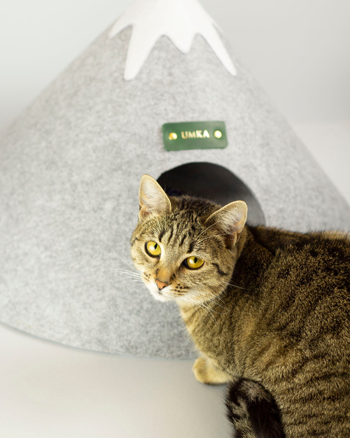 Modern Cat Bed Cat Cave Dog Bed Cat House Pet Bed Cat Gift Cat Etsy