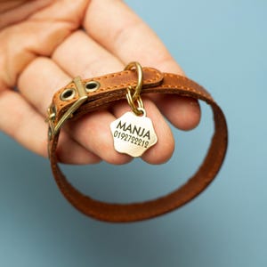 Cute Cat Collar Personalized Leather Collar Custom Collar Safety Collar Black Collar Small Collar Fish Tag Collar Id Collar image 11