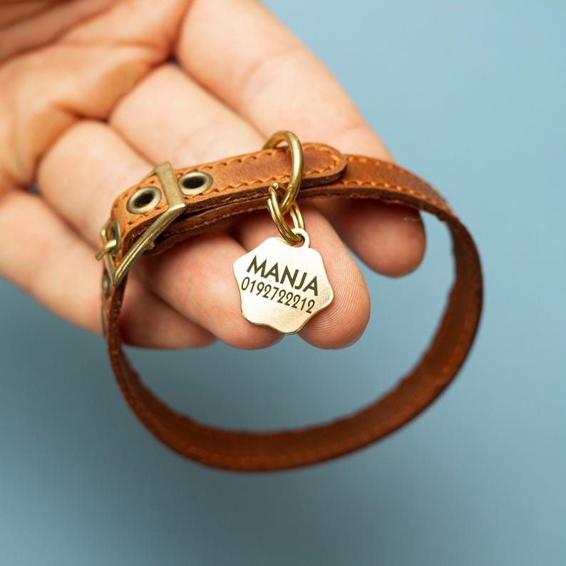 Cute Cat Collar Personalized Leather Collar Custom Collar Safety Collar Black Collar Small Collar Fish Tag Collar Id Collar image 11