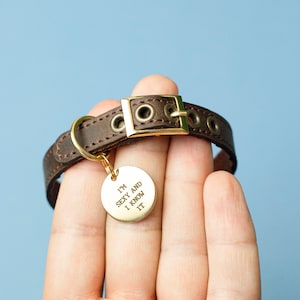 Cute Cat Collar Personalized Leather Collar Custom Collar Safety Collar Brown Collar Small Collar Circle Tag Collar Id Collar