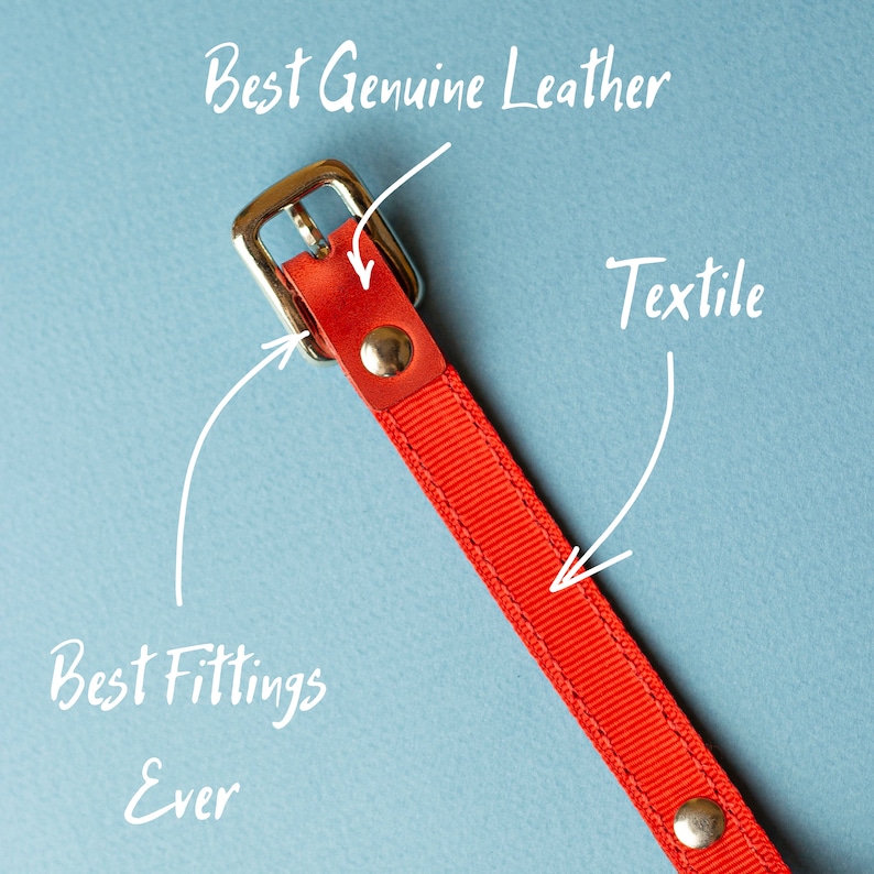 May include: Red leather dog collar with a silver buckle and the text "Best Genuine Leather" and "Textile" written in white. The collar has a ribbed texture.