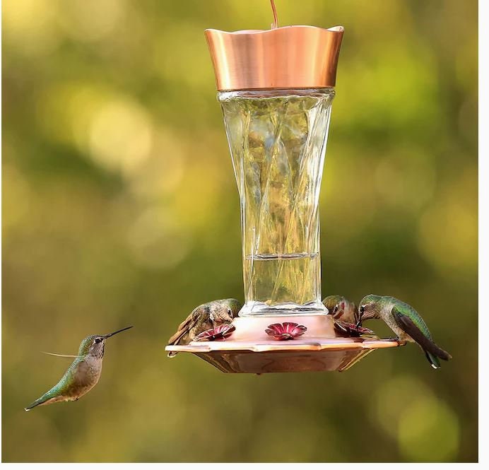 Copper Glass Hummingbird Feeder Spring Decor Mother's Etsy