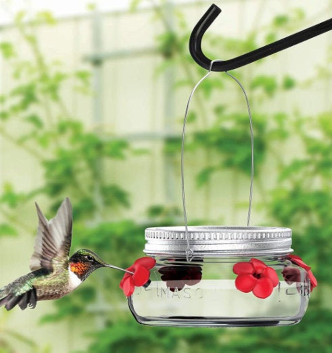 Mason Jar Hummingbird Feeder Etsy