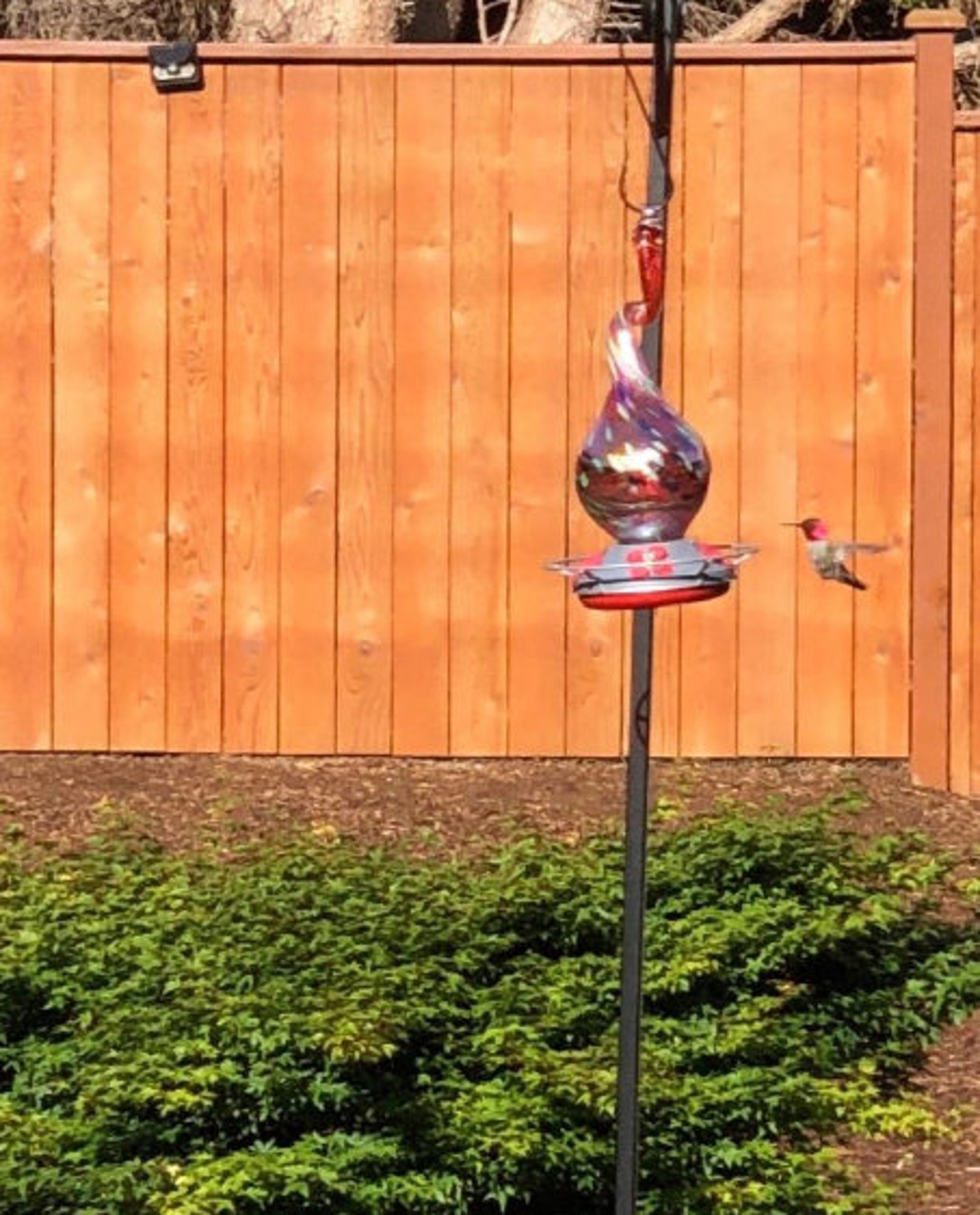 Blown Glass Hummingbird Feeder Bird Feeder Hanging Feeder Etsy
