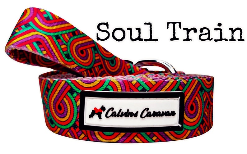 May include: A colorful dog collar with a geometric pattern in shades of red, yellow, green, purple, and black. The collar has a silver buckle and a white tag with the text "Calvin's Caravan" in black.