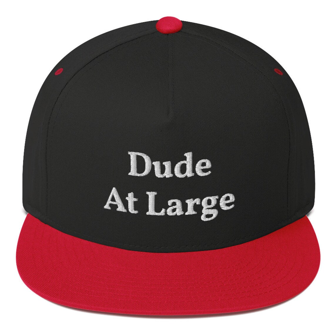 Lustige Mützen Dude At Large Bestickte Mütze Lustige Etsy