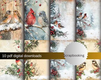 Winter Bird Scrapbook Pages: Vintage Journal Ephemera (PDF Download)