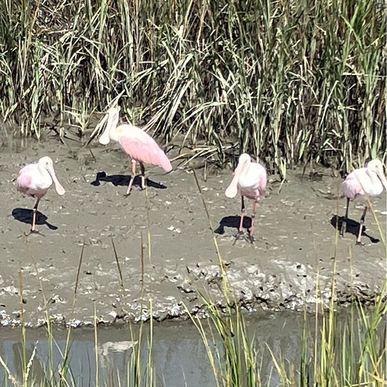 Dewees Island Sterling Silver Necklace With Removable Pendant of