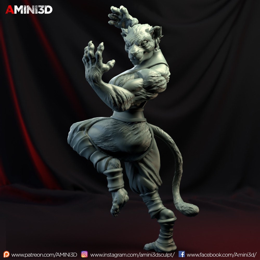 Tabaxi Monk Female Resin Miniature Dnd 