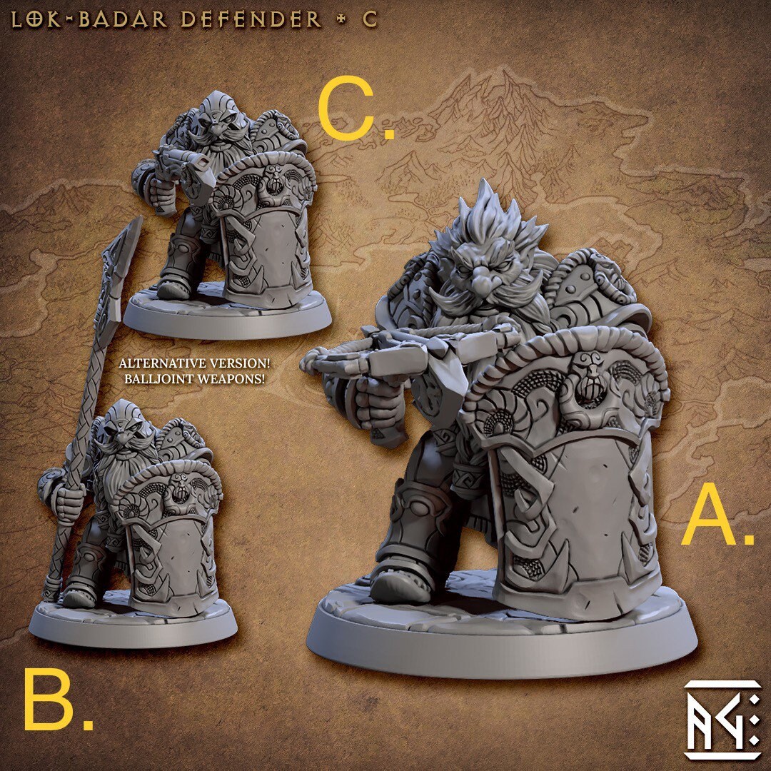 Lok-badar Defender C Dwarf Dwarves Lok-badar Miniature Dnd Miniatures Dungeons and Dragons ...