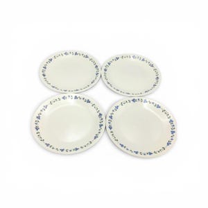 May include: A set of four round, off-white ceramic plates, each featuring a delicate border pattern of small blue berries and green leaves arranged in a continuous vine motif around the outer rim of the dinnerware.