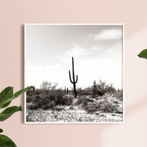 Black and White Cactus (square), Printable Art, Printable Wall Art, Arizona Photography Print, Digital Square Photo, Instant Download