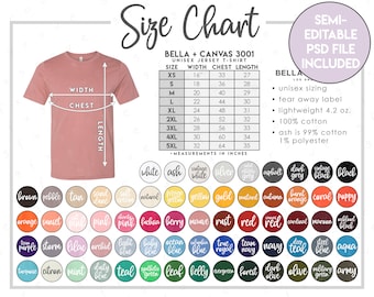 Download Bella Canvas Colors Etsy