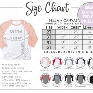 Tabla de tallas y colores Bella + Canvas 3200T semieditable • Tabla de tallas de camisetas de béisbol para niños pequeños Bella Canvas • Tabla de colores BC3200T