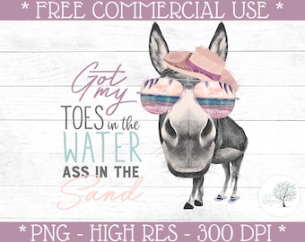 Funny Beach Donkey Print File • Got My Toes in the Water Ass in the Sand • Donkey Clipart • Funny Sublimation Print File • Toes in the Water