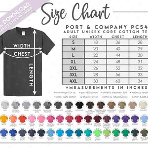 Semi-modifiable Port & Company PC54 Taille + Nuancier • Tableau des tailles des t-shirts en coton Port and Company • Tableau des tailles PC54 • PC 54