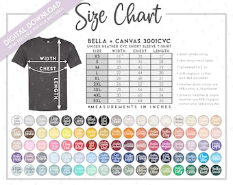 Semi-Editable Bella + Canvas 3001CVC Size + Color Chart • Bella Canvas T-Shirt Size Chart • Color Chart • Bella Canvas 3001 Heather Colors