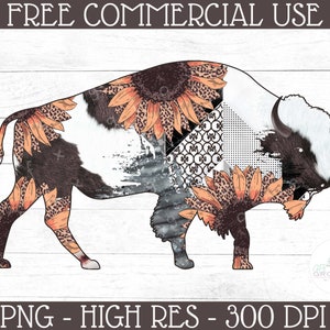 May include: A digital illustration of a buffalo with a patchwork design featuring sunflowers, leopard print, and geometric patterns. The buffalo is outlined in black and has a white background.