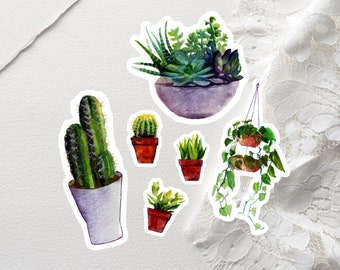 Plant Stickers | Sticker Pack | Botanical Stickers | Succulent Stickers | House Plant Stickers | Watercolor Stickers | Waterproof Stickers