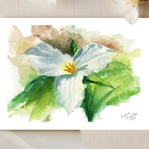 Carte de voeux Trillium | Cartes de voeux vierges | Carte de voeux botanique | Fleurs à l'aquarelle | Impression d'art | Fait main au Canada