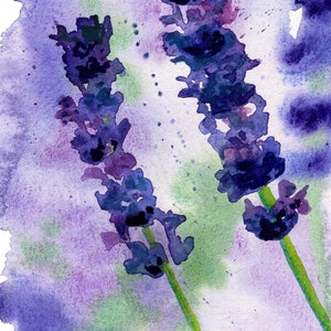 Lavendel Grußkarte Botanische Grußkarte Blanko Grußkarten Aquarell Blumen Botanischer Druck Fine Art Print Bild 4