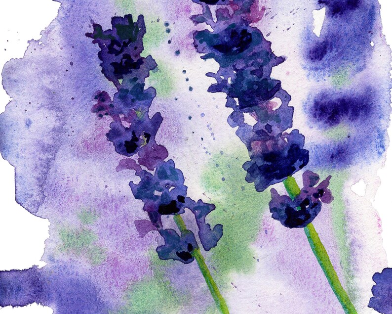 Lavendel Grußkarte Botanische Grußkarte Blanko Grußkarten Aquarell Blumen Botanischer Druck Fine Art Print Bild 4