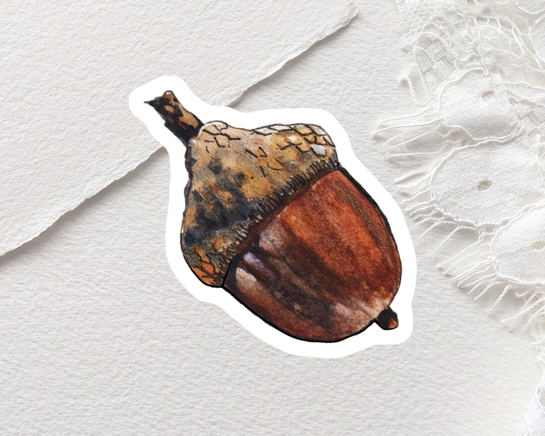 Acorn Sticker | Watercolor Stickers | Hiking Stickers | Spring Stickers ...