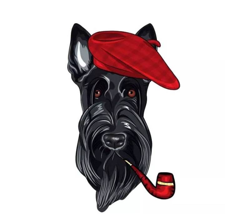 Autocollant Stickers Scottish