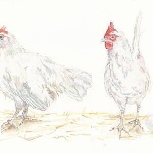 Carte de poulet blanc Leghorn